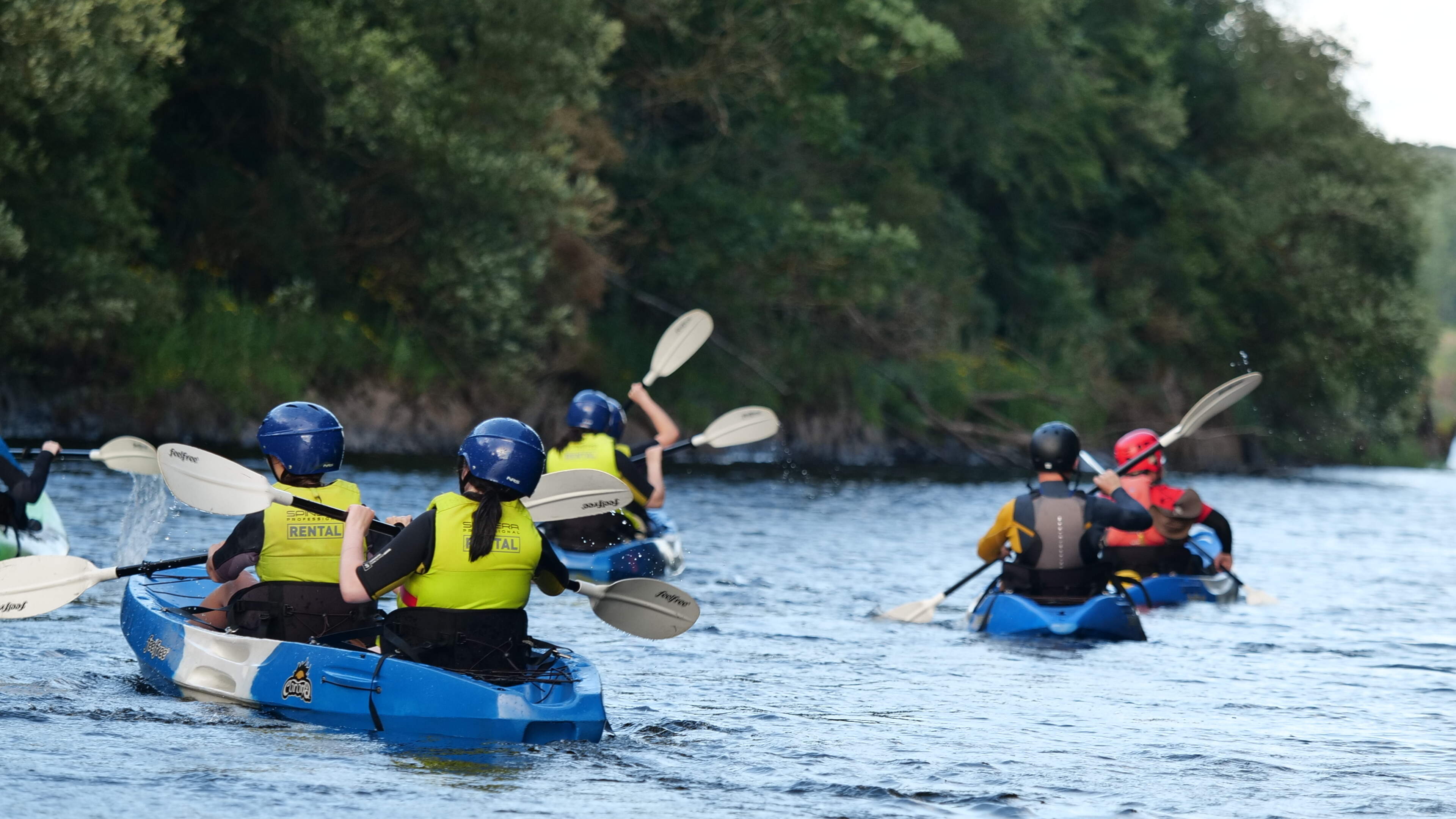 Cork adventure centre teams up with wildlife charity to help everyone explore the natural world
